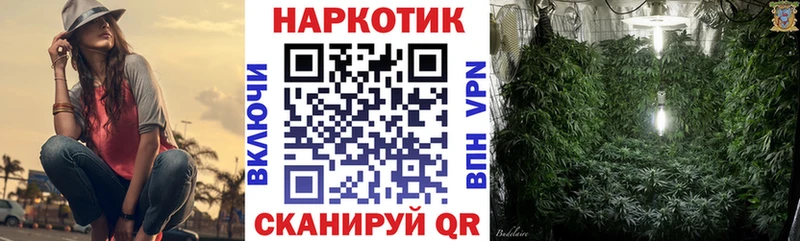 Купить Камышлов Амфетамин NBOMe КОКАИН МЕФ OMG ТОР Гашиш Alpha-PVP Псилоцибиновые грибы Конопля