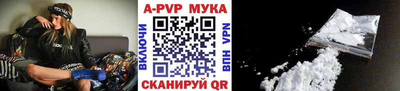 А ПВП СК КРИС kraken ТОР Камышлов