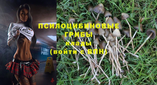 соль курить ск Алзамай