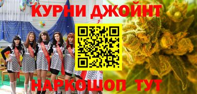 прущие грибы Краснодар