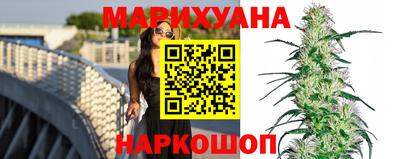 прущие грибы Краснодар