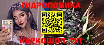 прущие грибы Краснодар