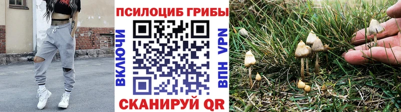 магазин  наркотиков  Камышлов  Галлюциногенные грибы мицелий 
